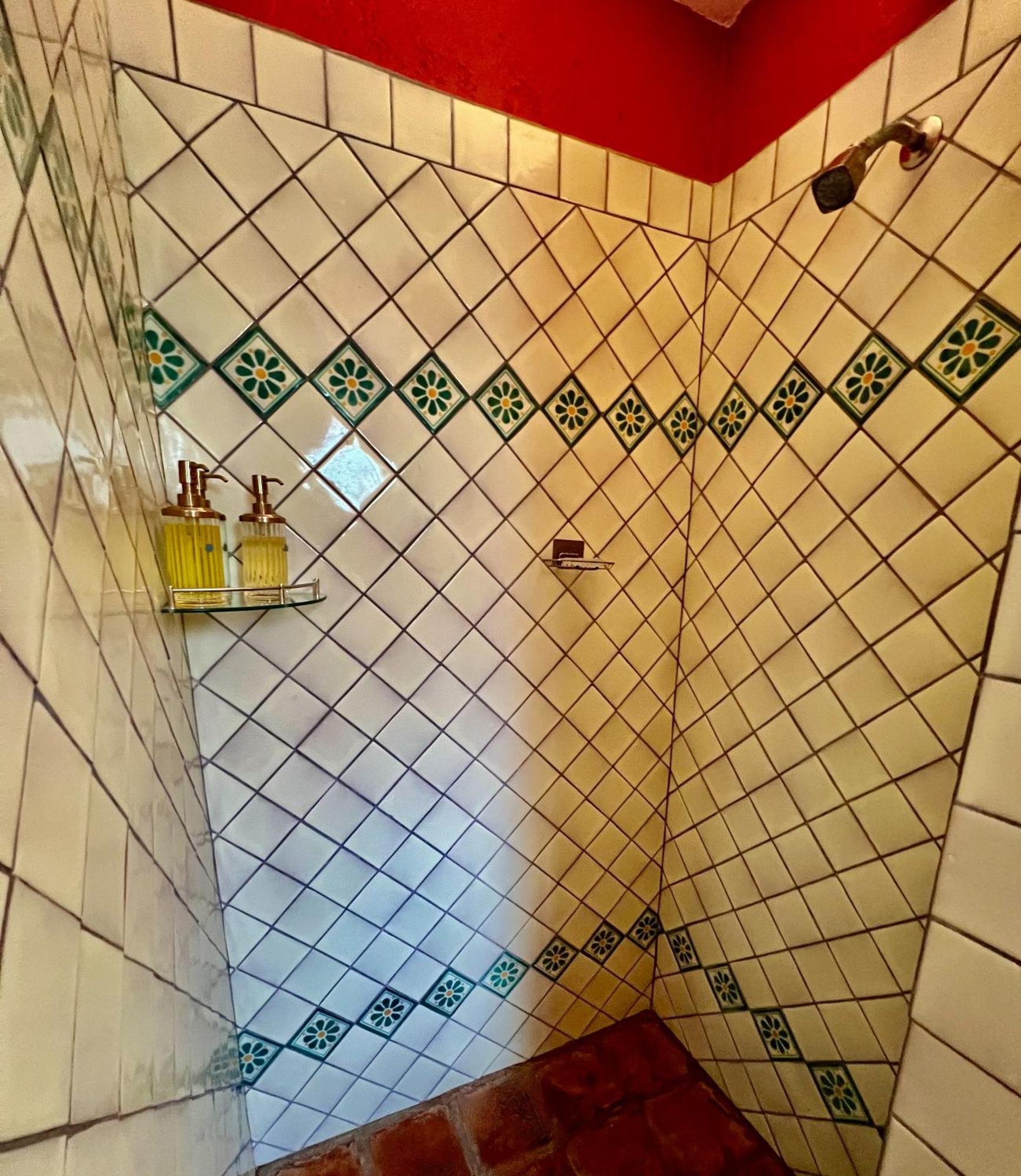 Boutique Hotel Casa Camellia San Miguel de Allende Buitenkant foto