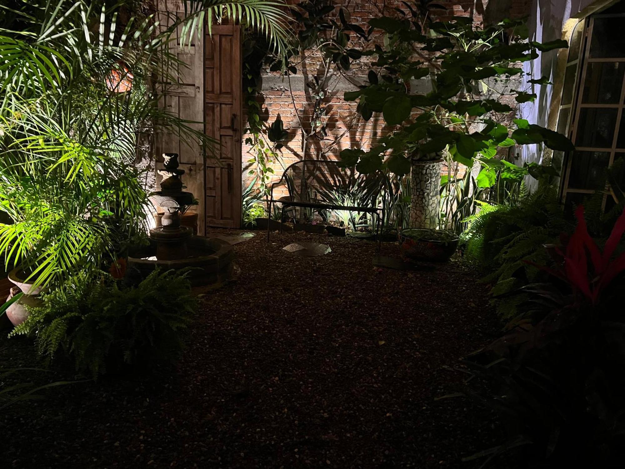 Boutique Hotel Casa Camellia San Miguel de Allende Buitenkant foto